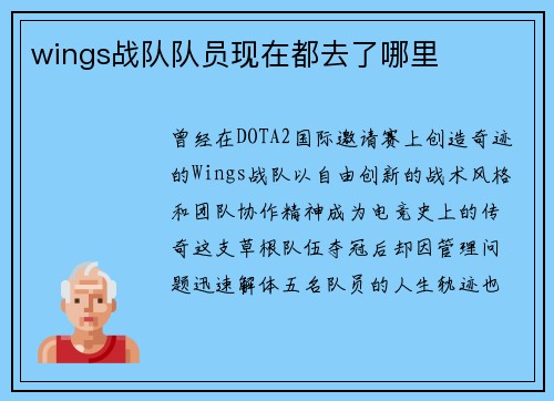 wings战队队员现在都去了哪里