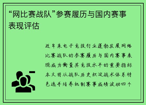 “网比赛战队”参赛履历与国内赛事表现评估
