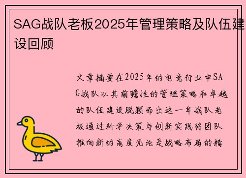 SAG战队老板2025年管理策略及队伍建设回顾